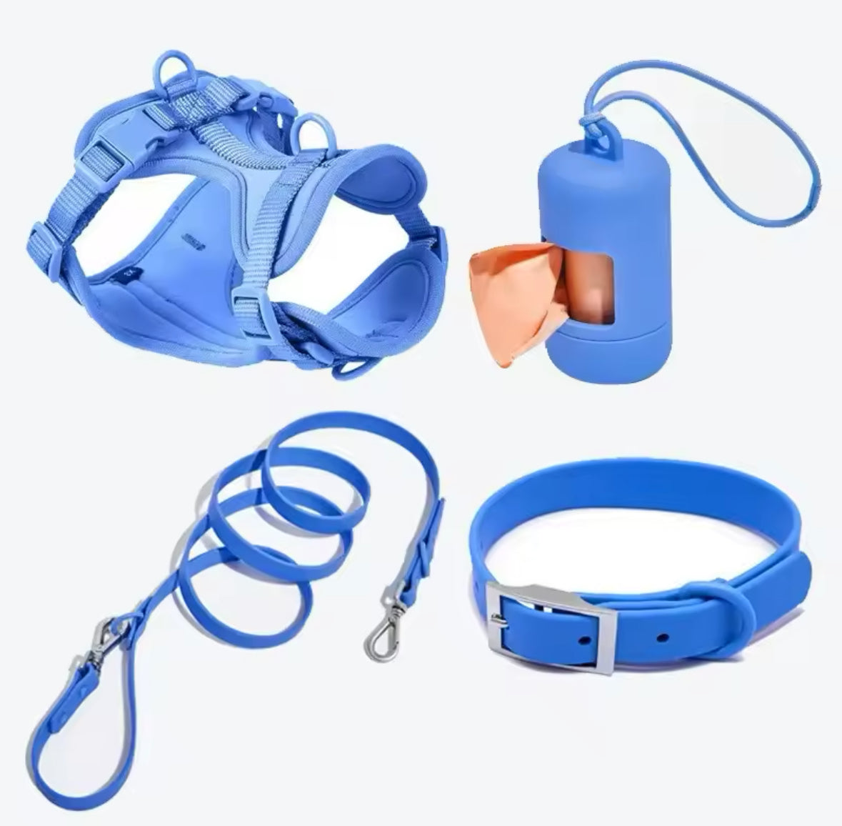 Kit de Paseo